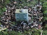 image of grave number 282285